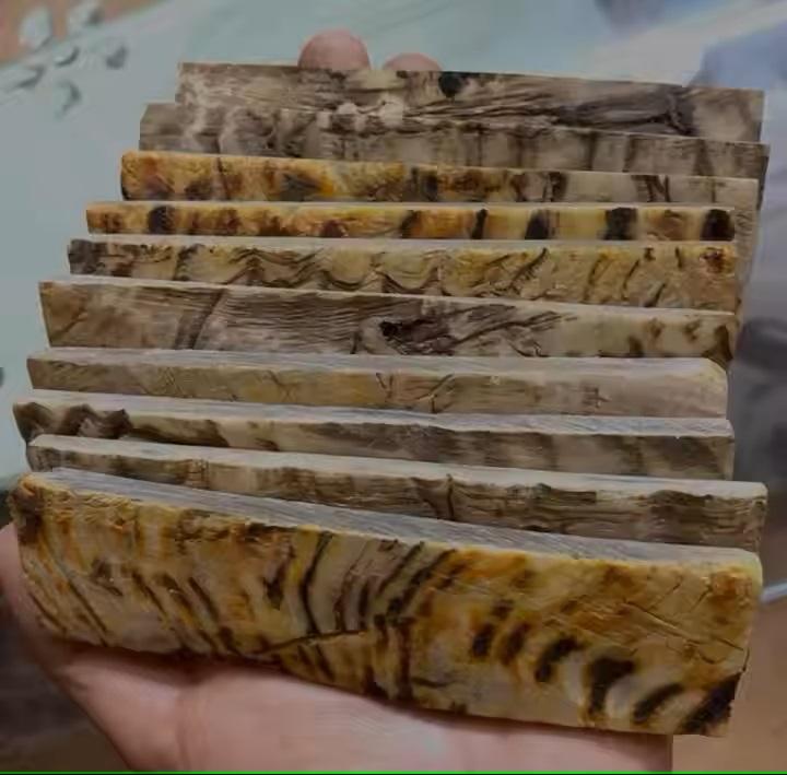 ธรรมชาติ