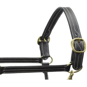 Couture fantaisie et rembourrage licou de cheval en cuir anglais noir avec cheval de licou en laiton entièrement réglable robuste - Product Image 3