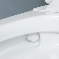 Ensemble de toilettes intelligentes en céramique moderne MWD, siphon en forme de P, télécommande incluse, design monobloc, chasse d'eau par siphon, siège chauffant, montage au sol