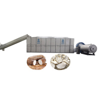 Cassave Poeder Verwerkingsfabriek Machine Apparatuur Yam Gari Cassave Wassen Peeling Snijden Blancheren Drogen Productielijn