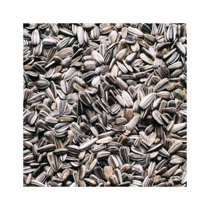 Graines de tournesol en vrac, vente en gros, livraison rapide, haute qualité, prêtes à l'exportation - Product Image 6