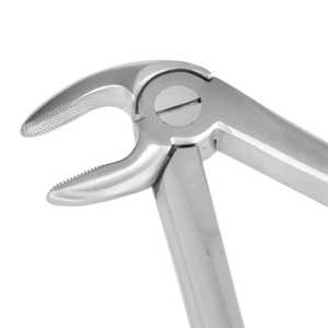 Precio al por mayor, fórceps de extracción de dientes dentales, instrumentos de extracción dental de acero inoxidable, fórceps quirúrgicos profesionales para - Product Image 2