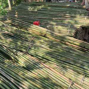 Venta al por mayor precio competitivo de bambú de Vietnam Bao Tram Anh proveedor a granel de productos agrícolas con buena reputación - Product Image 1