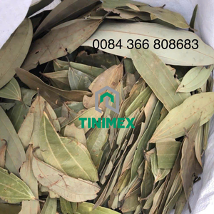 Cannelle/Cannelle/Darichini de feuilles du Vietnam naturel à forte demande de fournisseur digne de confiance - Product Image 3