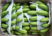 Hoge Kwaliteit Biologische Cavendish Bananen Vers En Klaar Voor Export