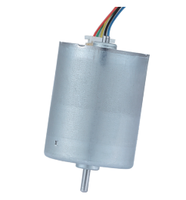 Bürstenloser DC 9-32V Mikromotor BLDC 2430 Modell 13500RPM Explosionsgeschütztes Permanentmagnet-Design für Roboter und Haushaltsgeräte