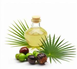 Huile de palmier nain de qualité supérieure, pure, pressée à froid, utilisée pour l'épaississement des cheveux, l'adoucissement de la peau et les produits de beauté par le fournisseur - Product Image 4