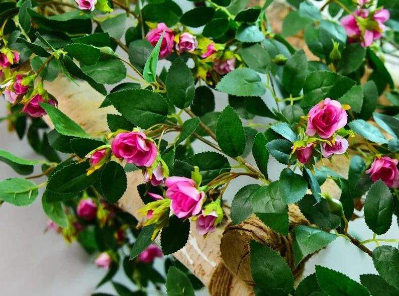 เลือกสีได้