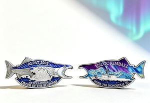 맞춤형 OEM 주문 제작 챌린지 코인, 앤틱 실버 기념주화, 3D 기념 코인 제작 및 포장 상자 포함 - Product Image 5