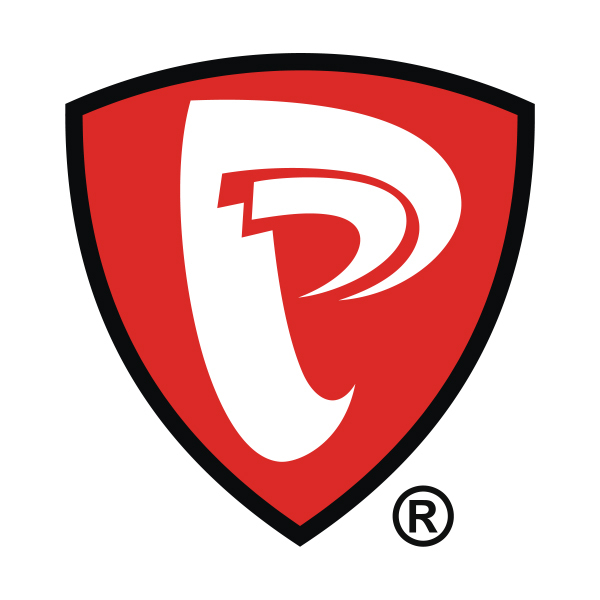 THE PROFESSIONAL SPORTS logo