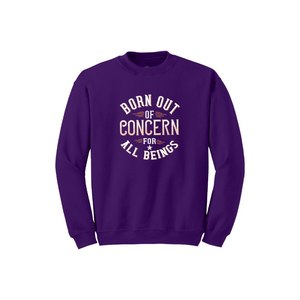 Sudadera de mezcla de algodón Estilo informal Temas de Buda Imprimir 12 opciones de color 260-280 GSM Colocación de diseño personalizable para invierno - Product Image 4