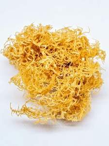 Expad Vietnam Wildcrafted ทะเลมอสไอริช MOSS euchema cottonii สาหร่ายเพื่อสุขภาพจาก expad - Product Image 5