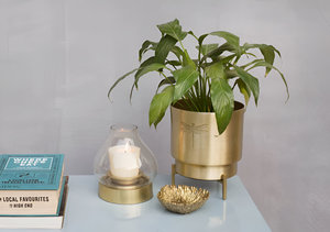 ขายจํานวนมาก Golden Planter ตกแต่งพื้นตกแต่งบ้านตกแต่งสวนตกแต่งหลายทําด้วยมือโลโก้ที่กําหนดเองแพ็คที่กําหนดเอง - Product Image 4