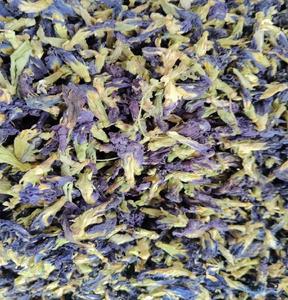 Fournisseur de gros de qualité thé fleur de pois bleu Inde - Product Image 2