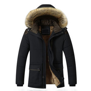 Veste parka en toile décontractée pour homme, automne, chaude, blanche unie, col montant, imperméable, capuche zippée, doublée, imprimé sur le devant, veste d'extérieur - Product Image 4
