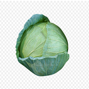 ผักกาดขาวขายส่งผักสดอร่อย - Product Image 3