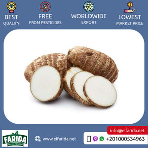 Taro Colocasia จากแหล่งกำเนิดของอียิปต์ราคาถูกแช่แข็งอร่อยและมีคุณค่าทางโภชนาการ - Product Image 5