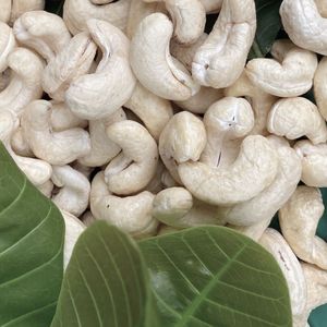 เวียดนามเม็ดมะม่วงหิมพานต์ที่เชื่อถือได้ W320ซันติโกเวียดนามขายส่งที่มีคุณภาพดีส่งออกไปยังสหภาพยุโรปตะวันออกกลาง - Product Image 1