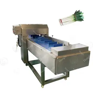 Professional Celery China Root Vegetable Cutting Machine For Wholesales