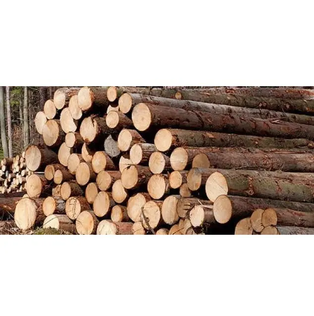 Penjualan paling laris kayu keras kayu bundar/kayu dengan harga sangat murah