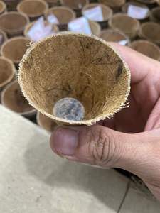 Suministro a granel olla de fibra de coco a precio barato/olla de fibra de coco biodegradable/olla de fibra de coco de fabricante vietnamita - Product Image 4