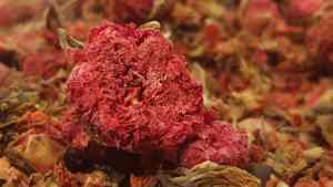 2024 gran oferta de hierbas secas flores de Granada precio razonable embalaje personalizado de alta calidad tipo de almacenamiento fresco - Product Image 6