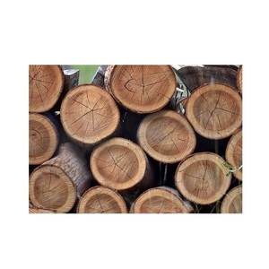 Bûches rondes en bois d'eucalyptus séché au four pour l'exportation - Conformes à la norme ISPM 15 - Product Image 1