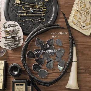 Plectres de guitare de qualité supérieure, logo personnalisé, export direct, fabricant et fournisseur indien, instruments en bois de corne, MOQ 100 M.S. EXPORTATION - Product Image 3