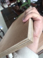 Vietnam contreplaqué 18mm de haute qualité pour la construction en extérieur