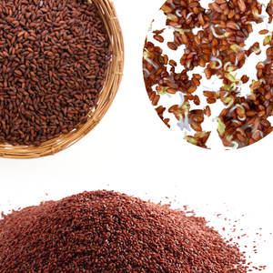 Berro | Hierba de nutrición botánica | Ideal para mezclas de alimentos - Product Image 6