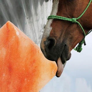 Ladrillos y azulejos de sal del Himalaya natural de alta calidad Ladrillos de sal del Himalaya más vendidos para superventas - Product Image 4