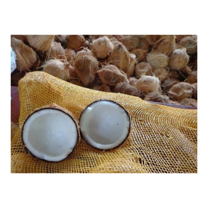 Coco semidescascarillado elegido para un contenido de agua y sabor de peso equilibrado disponible para compradores comerciales - Product Image 5