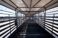 Remorque utilitaire fermée pour bétail et animaux, ventilée, 7x16 pieds, capacité 2001-3000 kg, pour bovins, ovins et équidés