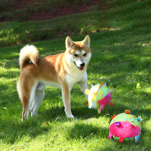Jouet interactif pour chien en peluche sonore, coloré, en forme de cloche, écologique, durable, résistant aux morsures, pour les dents et les jouets à lancer - Product Image 5