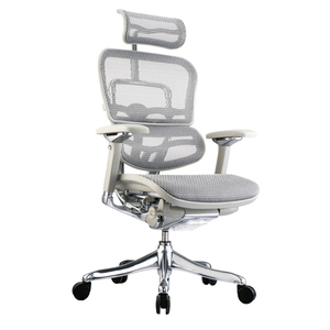 For Luxury Mesh <b>Chair</b> Traditional Design Adjustable Height Swivel Metal Frame Ergonomic Home Office Bedroom Workshop Use - Product Image 1