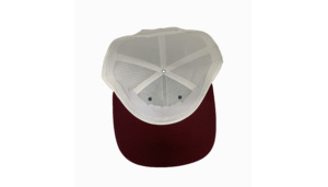 2 Tons Couleur Haute Qualité Coton Blanc Trucker Chapeaux Marque Personnalisée/Logo Personnel Sport Caps 6 Panel Hat Wholesale - Product Image 5