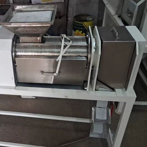 Machine à jus de fruit du dragon Mariya, haute performance, économique, récupération maximale de jus, haute qualité en Inde - Product Image 1