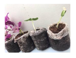 Pellets de tourbe de coco bonne qualité bloc de sol de noix de coco noix de coco tourbe de noix de coco bloc de sol noix de coco bouchons Jiffy - Product Image 6