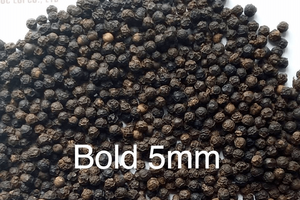 Poivre noir de toutes qualités FAQ MC Nouvelle récolte des fermes vietnamiennes pour la fabrication d'épices et l'assaisonnement - Product Image 2