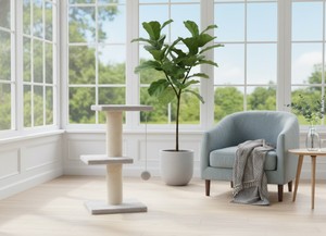 โพสต์ขูดคุณภาพสูงป่าเงิน amistar สำหรับแมวและลูกแมวทุกสายพันธุ์และขนาด - Product Image 2