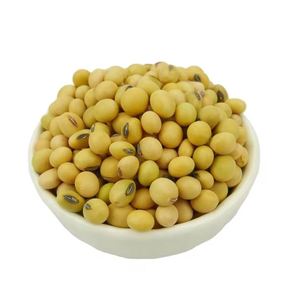 Soja orgánica de alta calidad, venta al por mayor, soja seca natural, embalaje a granel - Product Image 6