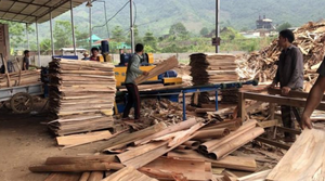 Cestas de cangrejo de bambú de madera dura OEM con cubierta y asas de Vietnam-Muestras disponibles para probar la calidad - Product Image 2