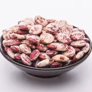 Light Speckled White Kidney <b>Bean</b> Dried Rich in Nutrition - Product Image 4