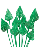 Feuilles de palmier Lance Feuilles de palmier naturelles Lance de palmier Fête des mères Saint Valentin Noël Merci Cadeaux pour chaque fois
