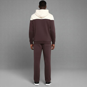 Conjunto de 2 Piezas para Hombre, de Alta Calidad, con Logotipo Impreso Digital Personalizado, 100% Algodón, Lavado Ácido, con Capucha, Ropa Casual de Invierno, Estilo Urbano, 2 Tonos - Product Image 3