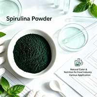 Poudre de protéines de spiruline riche en phycocyanine, soutien immunitaire, boissons sportives en vrac, durée de conservation de 24 mois