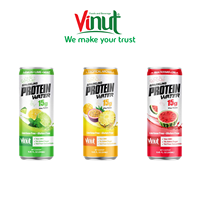 8,45 fl oz Sprankelend Proteïnewater Watermeloen Zonder Toegevoegde Suiker OEM ODM Private Label Drankproducent