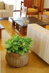 Jardinière ronde en FRP à finition bois, légère et durable, pour la maison, le jardin et le bureau - Product Image 4