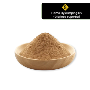 หลอดไฟลิลลี่ธรรมชาติสกัดจากดอกลิลลี่ผงสกัดจากดอกลิลลี่ - Product Image 1