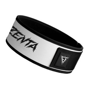 Ceinture de musculation en nylon à vente chaude, ceinture de fitness pour l'entraînement en force, ceinture de soutien du dos pour la salle de sport, ceinture de musculation à fermeture rapide - Product Image 2